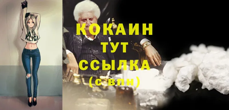 наркота  Алейск  Cocaine FishScale 